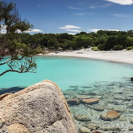 招待所 La Stampa 奧爾比亞